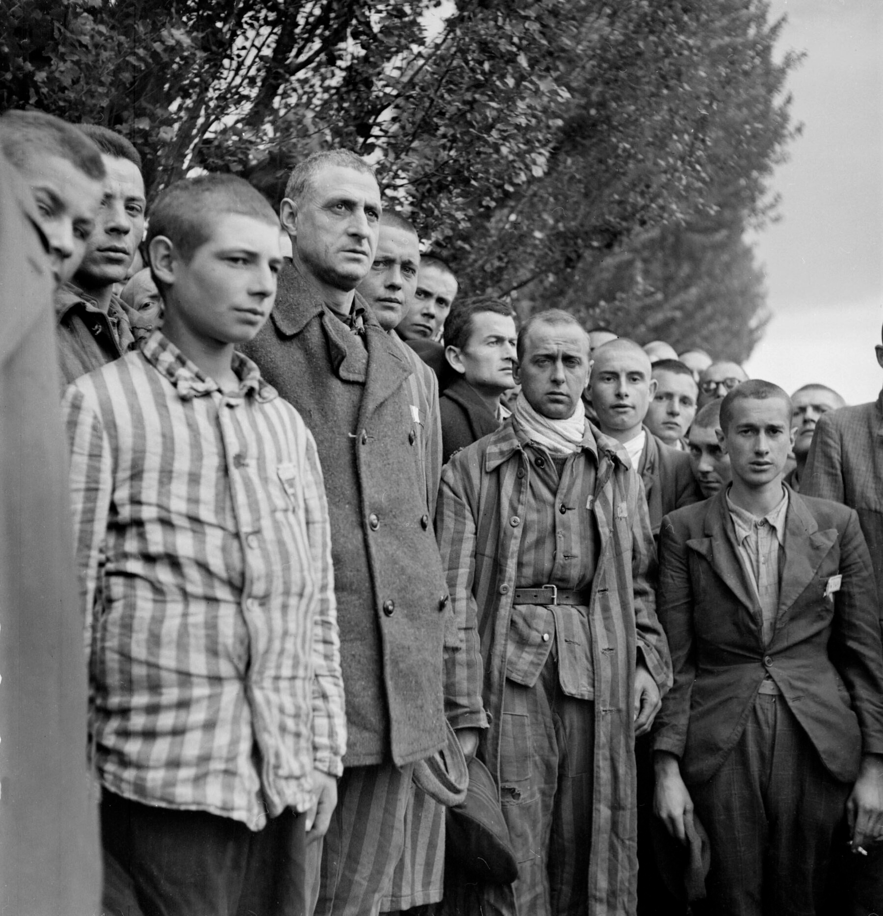 Prisioneros liberados de Dachau, 1945 — B&N