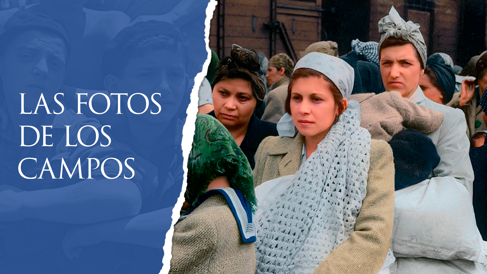 Las fotos de los campos — versión en color