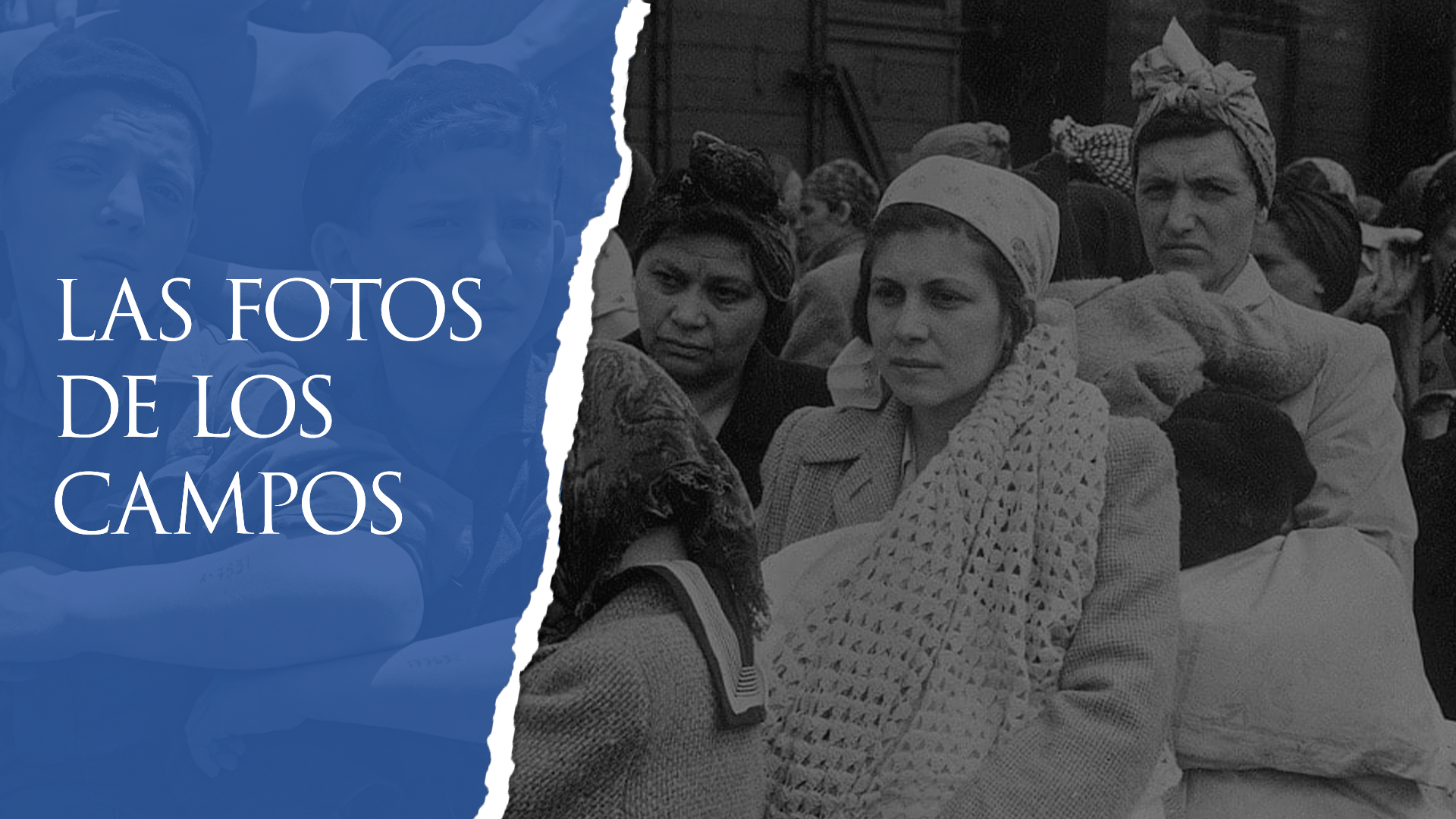 Las fotos de los campos — versión en blanco y negro