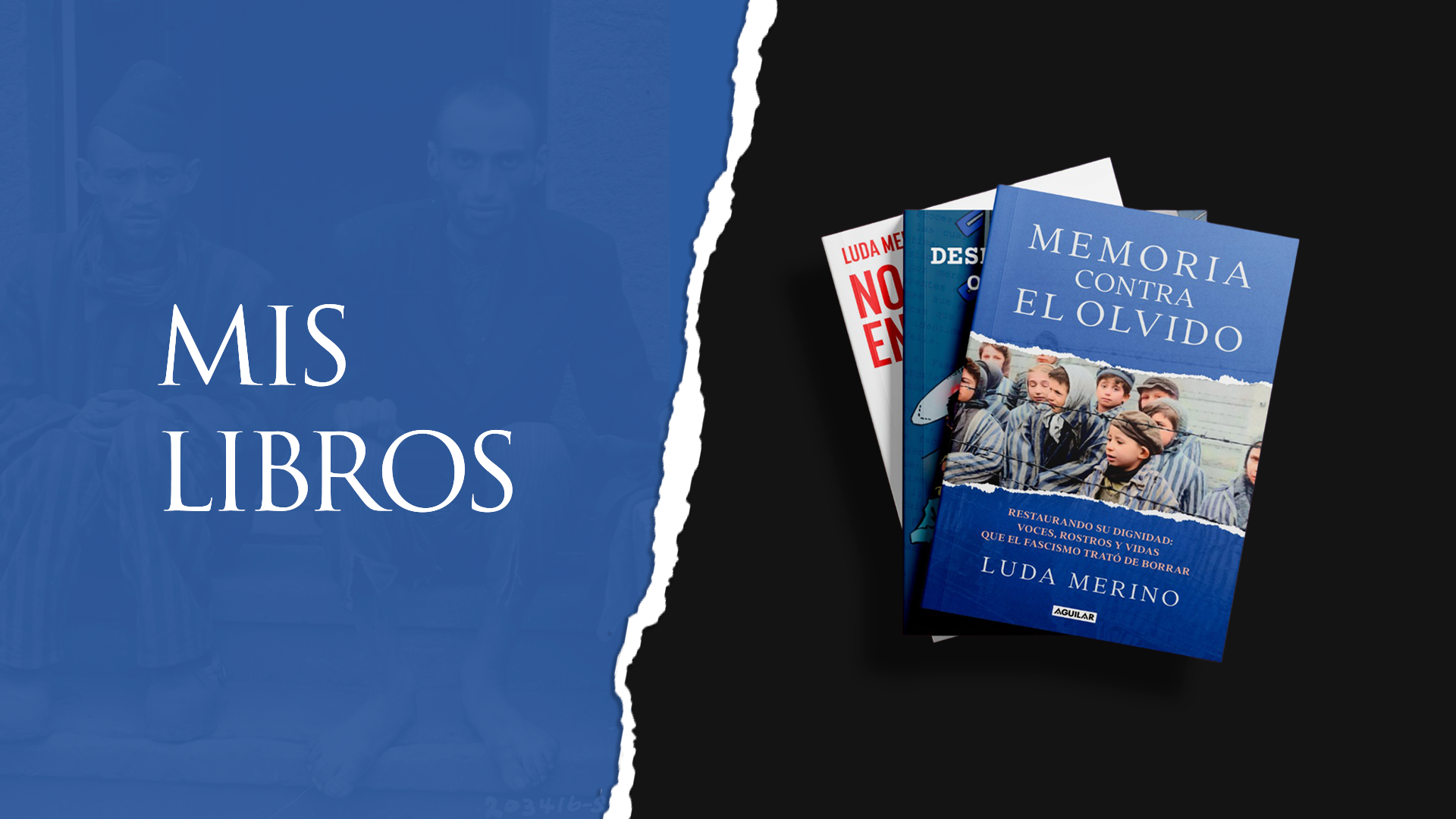 Mis libros — Memoria contra el Olvido y otras obras de Luda Merino