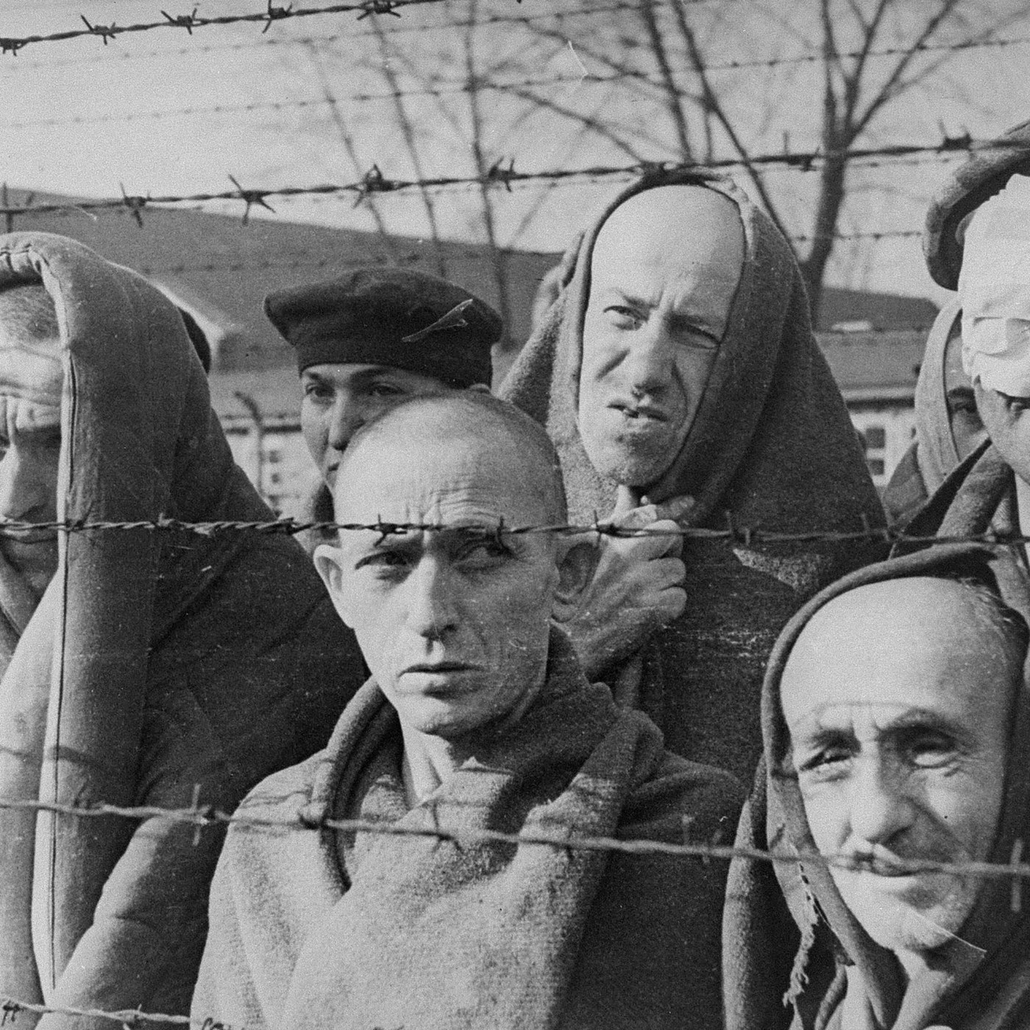 Liberación de Auschwitz (2) — original